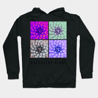 Close-up Spiky Leaves of Succulent Plant Hoodie